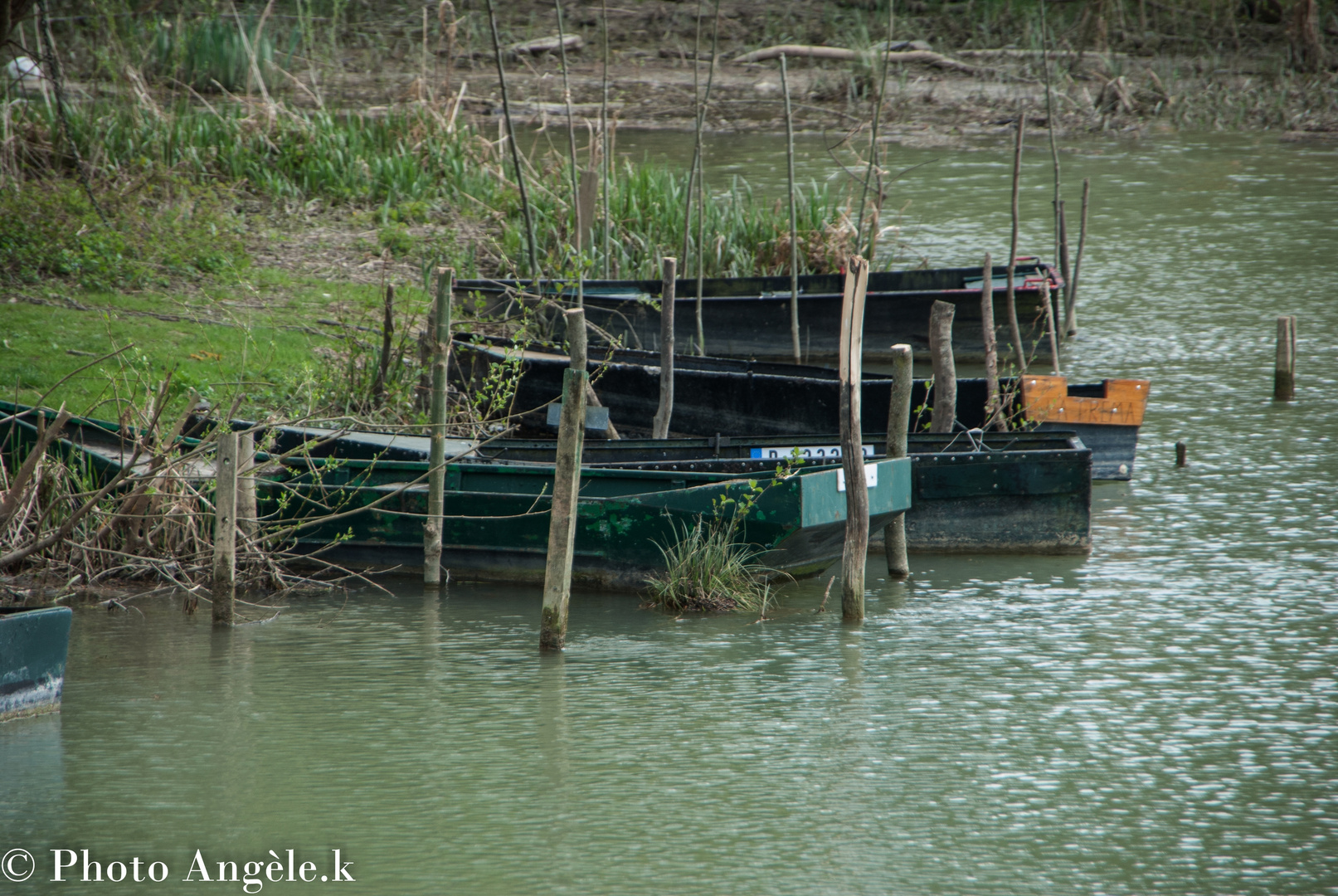 Les barques de la Marne ! !