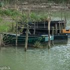 Les barques de la Marne ! !