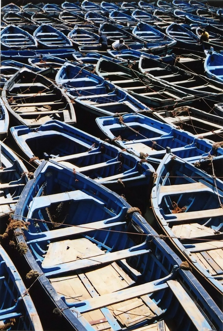 Les barques d'Essaouira