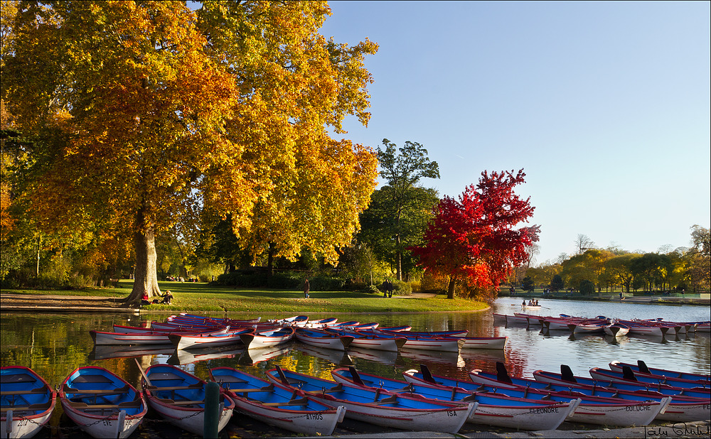 Les barques du lac .