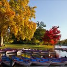 Les barques du lac .