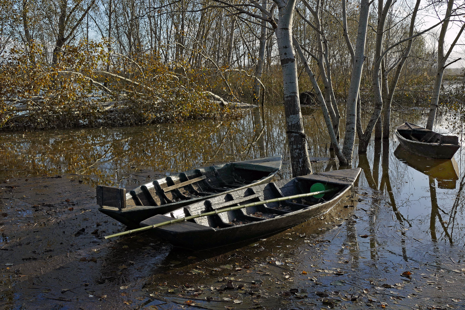 les barques  du marais  attendent le reflux...