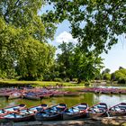 Les barques 