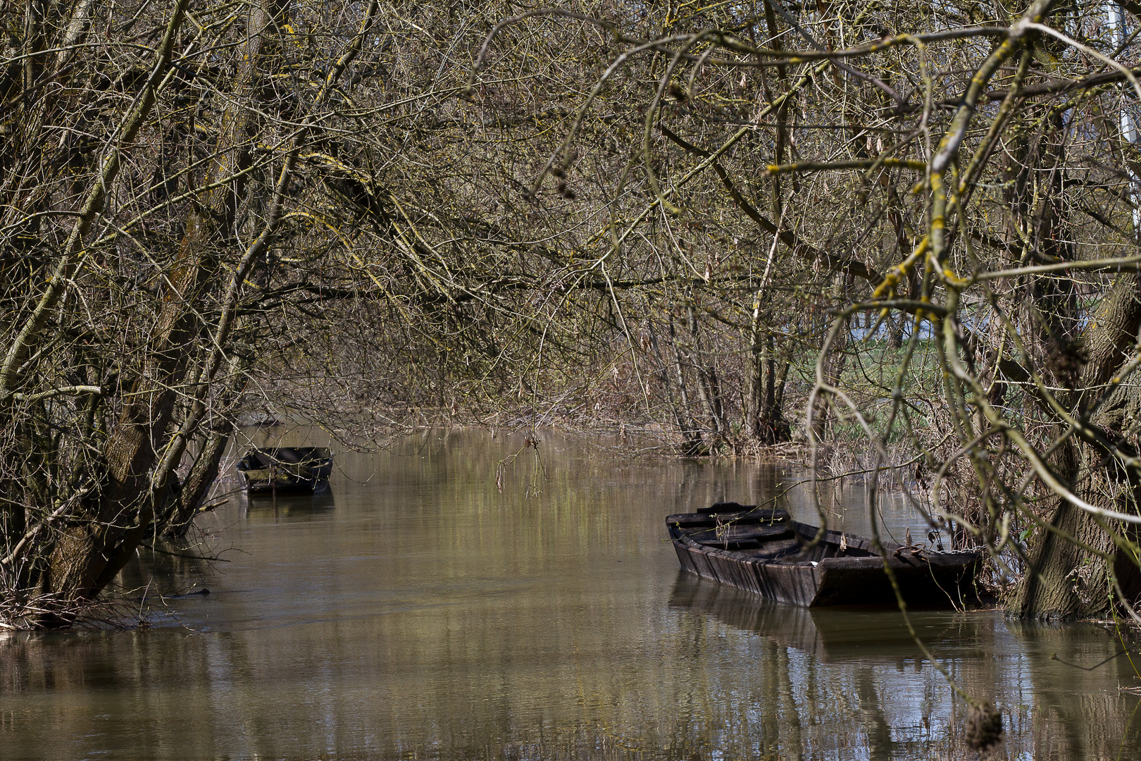 Les bartques du Ried