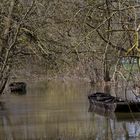 Les bartques du Ried