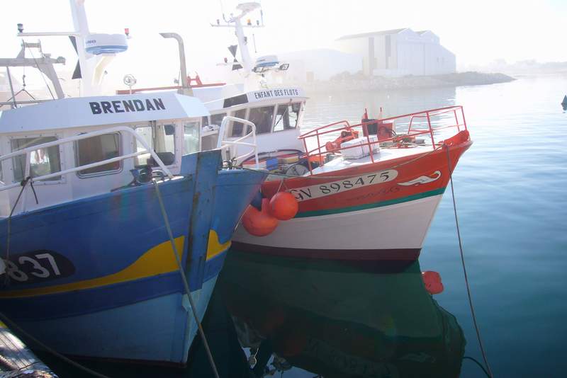 les bateaux de peche à guénolé