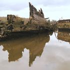 Les bateaux se cachent pour mourir