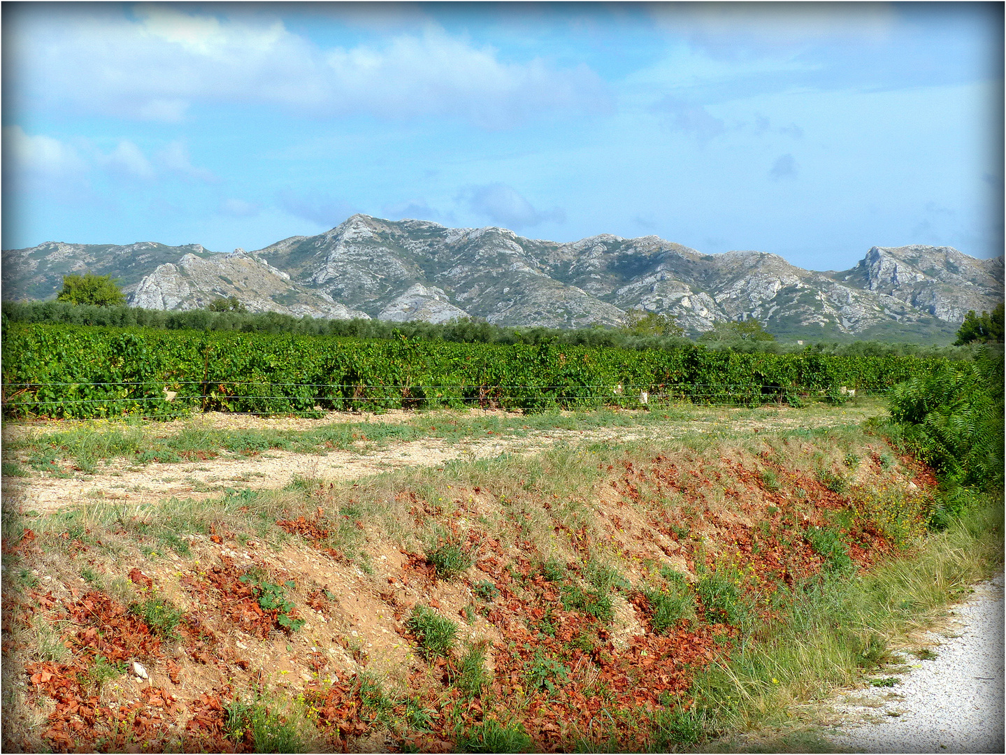 LES - BAUX - DE - PROVENCE - 39 -