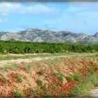 LES - BAUX - DE - PROVENCE - 39 -