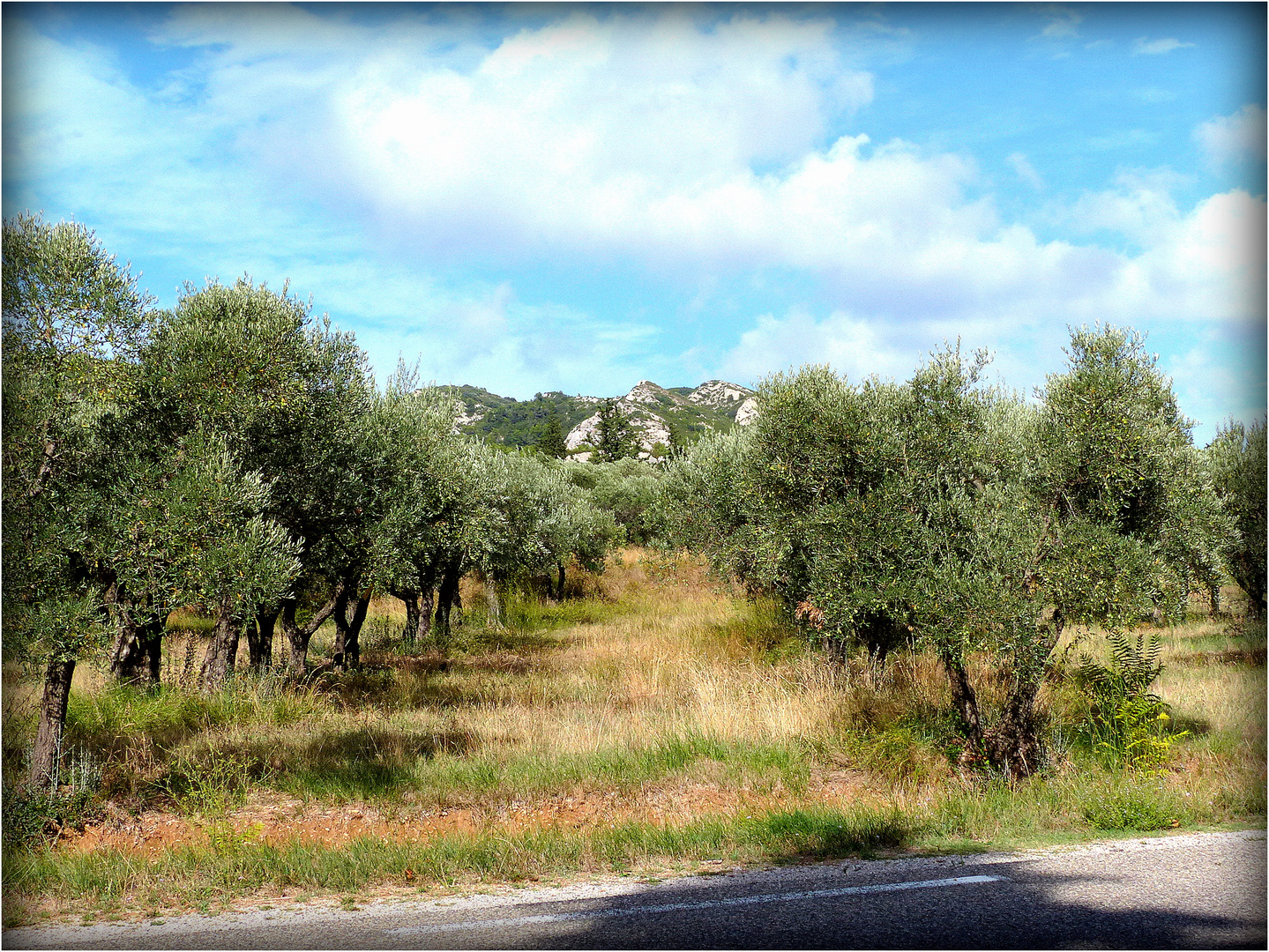 LES - BAUX - DE - PROVENCE - 40 -