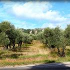 LES - BAUX - DE - PROVENCE - 40 -