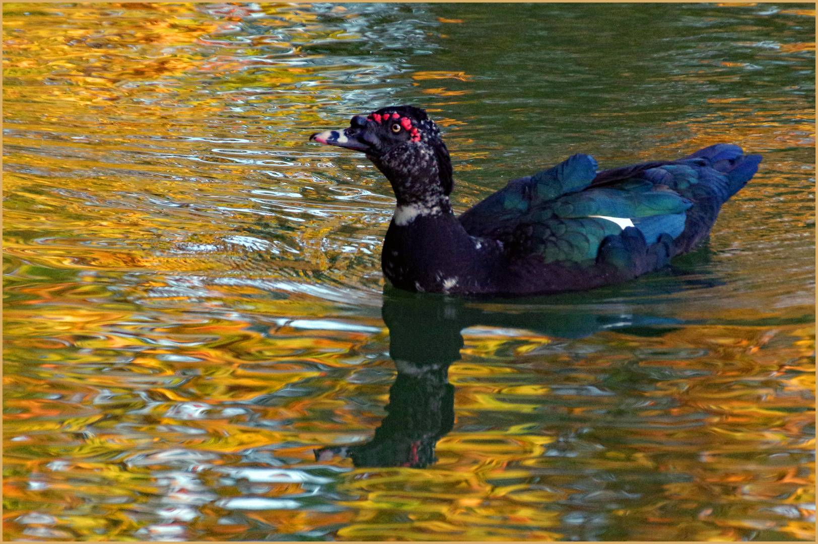  les beautés de la nature...