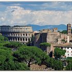 les beaux restes de la civilisation greco romaine..... ( copertina )