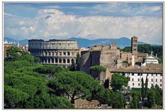 les beaux restes de la civilisation greco romaine..... ( copertina )