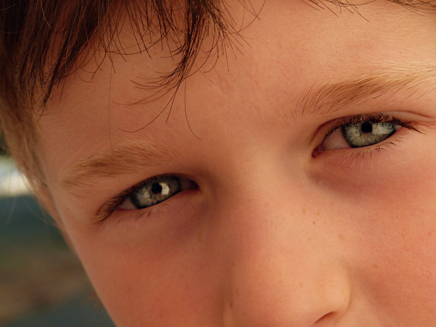 les beaux yeux bleu