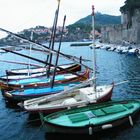 les belles catalanes de collioure