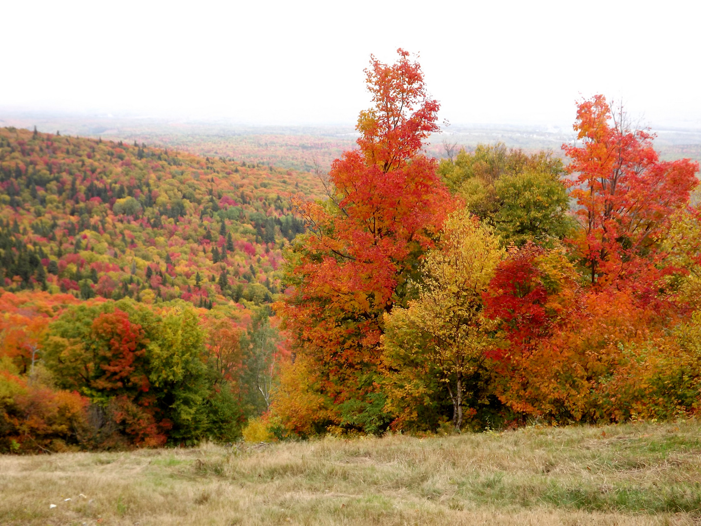 Les belles couleurs au Mont Ste Anne