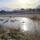 Les berges du Gardon d'Alès ....