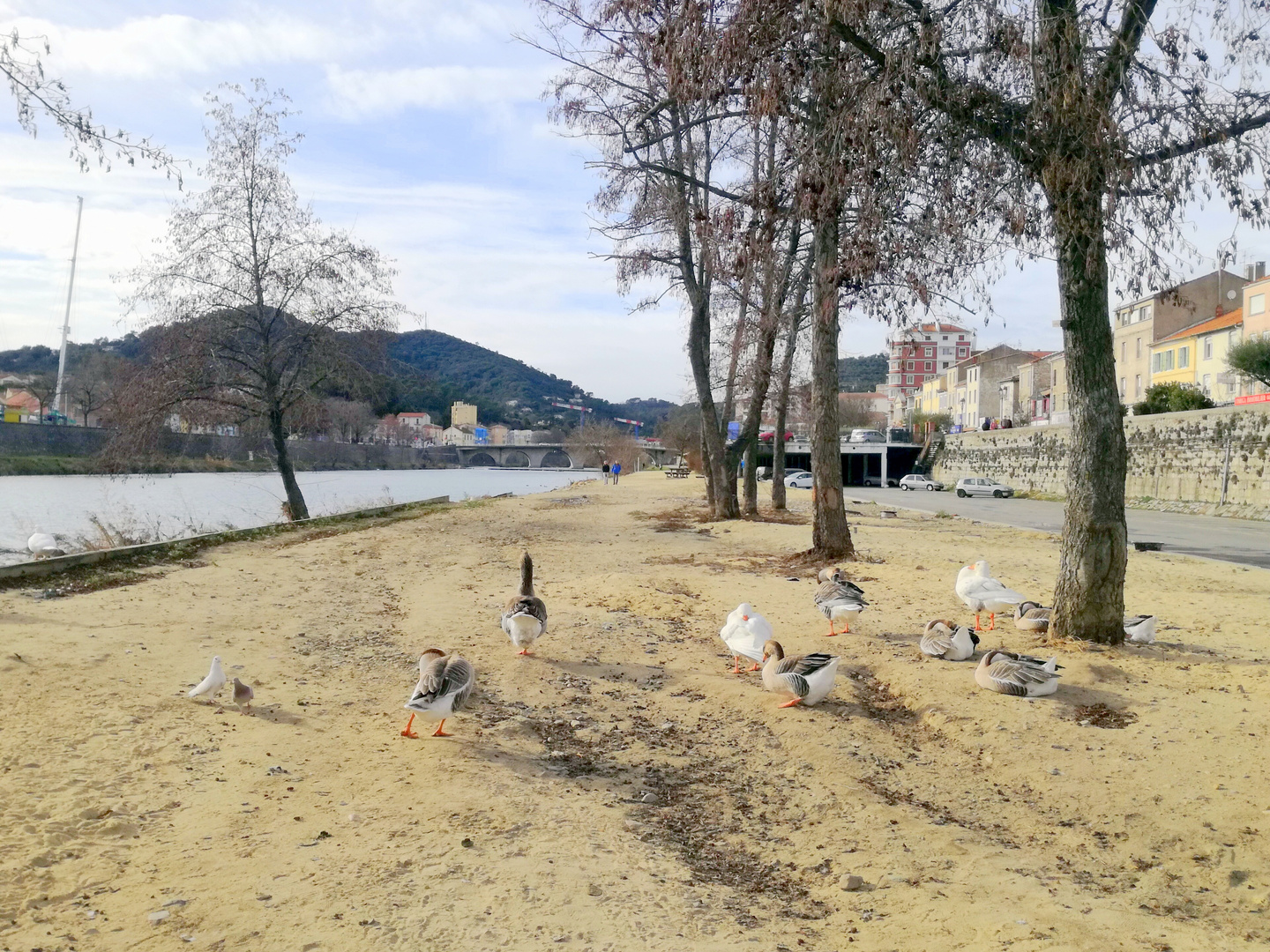 Les berges du Gardon d'Alès ....