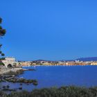 Les bleus d'Antibes