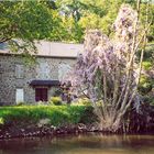 Les bords de la Mayenne