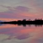 les bords de l'Adour 