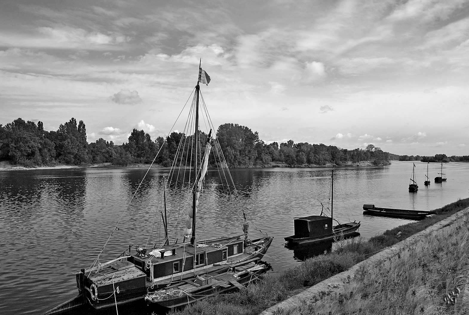 Les bords de Loire