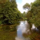 Les bords de l'Orne