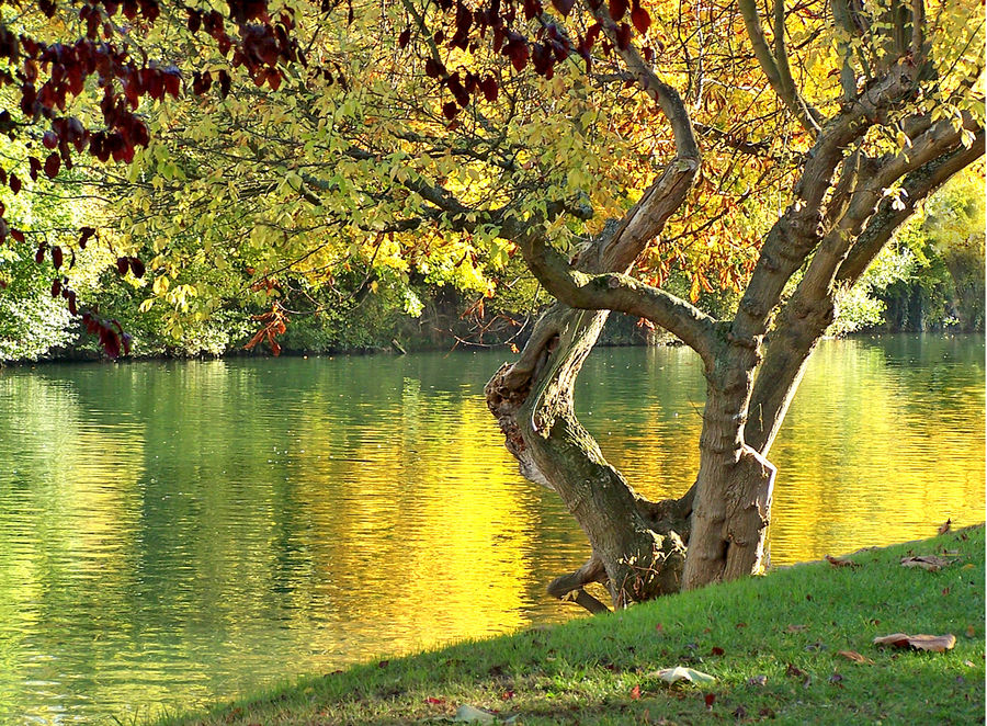 Les bords de Marne