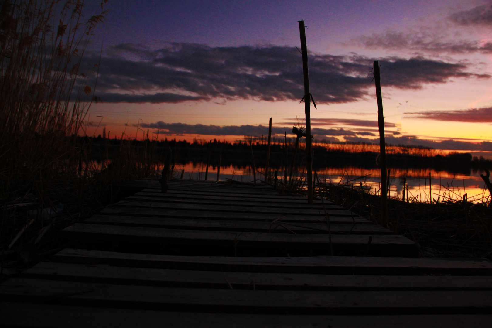 les bords de rhône en février