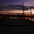 les bords de rhône en février