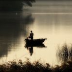 Les bords de Saône !