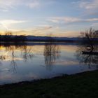 les bords de Saône à Beauregard (Ain)