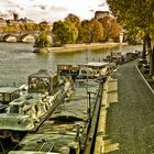 Les Bords de Seine 2