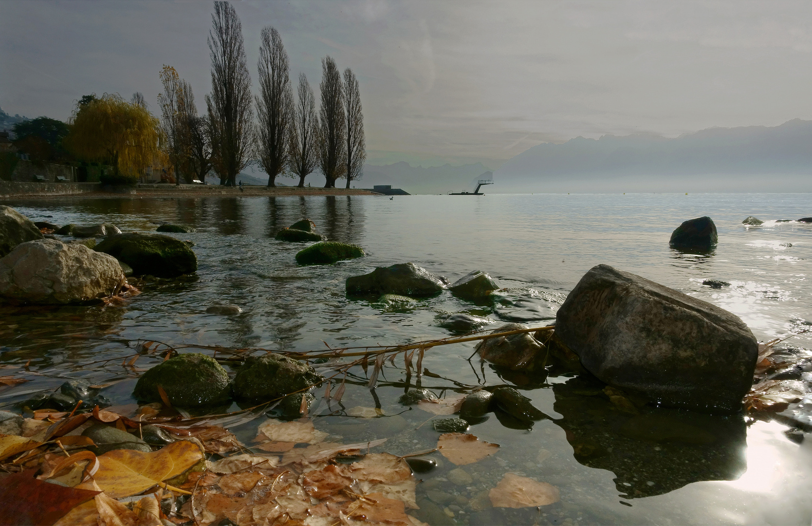 Les bords du lac Léman