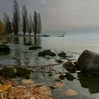 Les bords du lac Léman