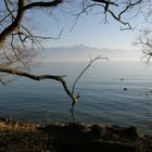 Les bords du Léman en hiver