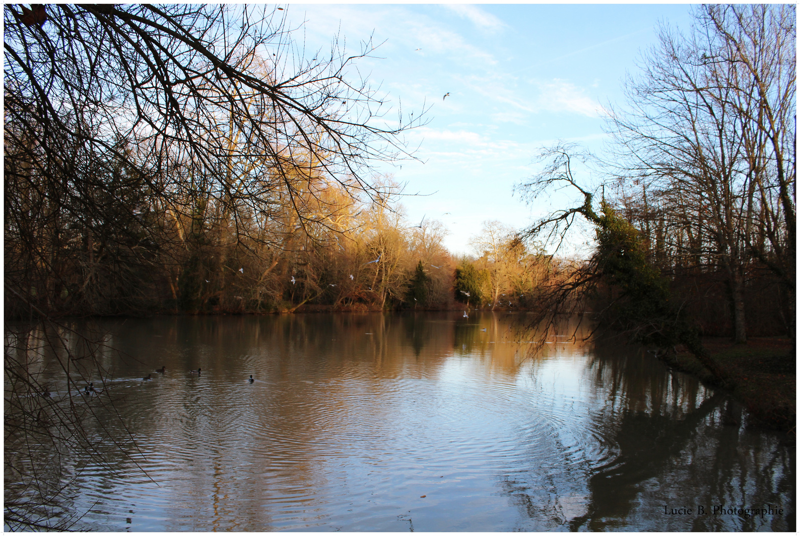 Les Bords du Loiret.