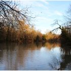 Les Bords du Loiret.