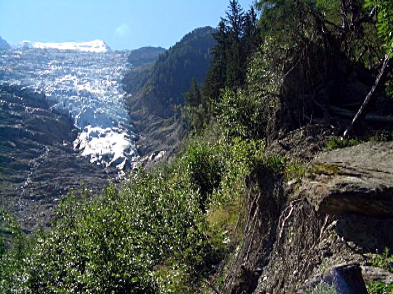 Les Bosson Gletscher