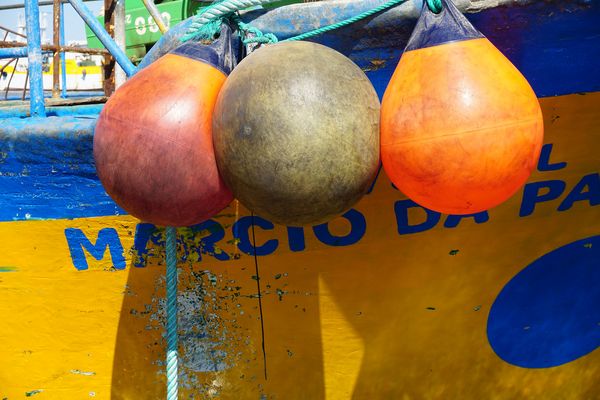 Neue Fotos international