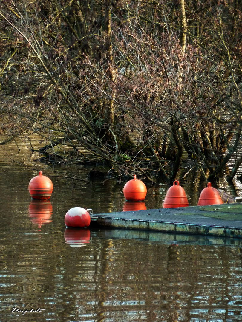 Les bouées rouge 