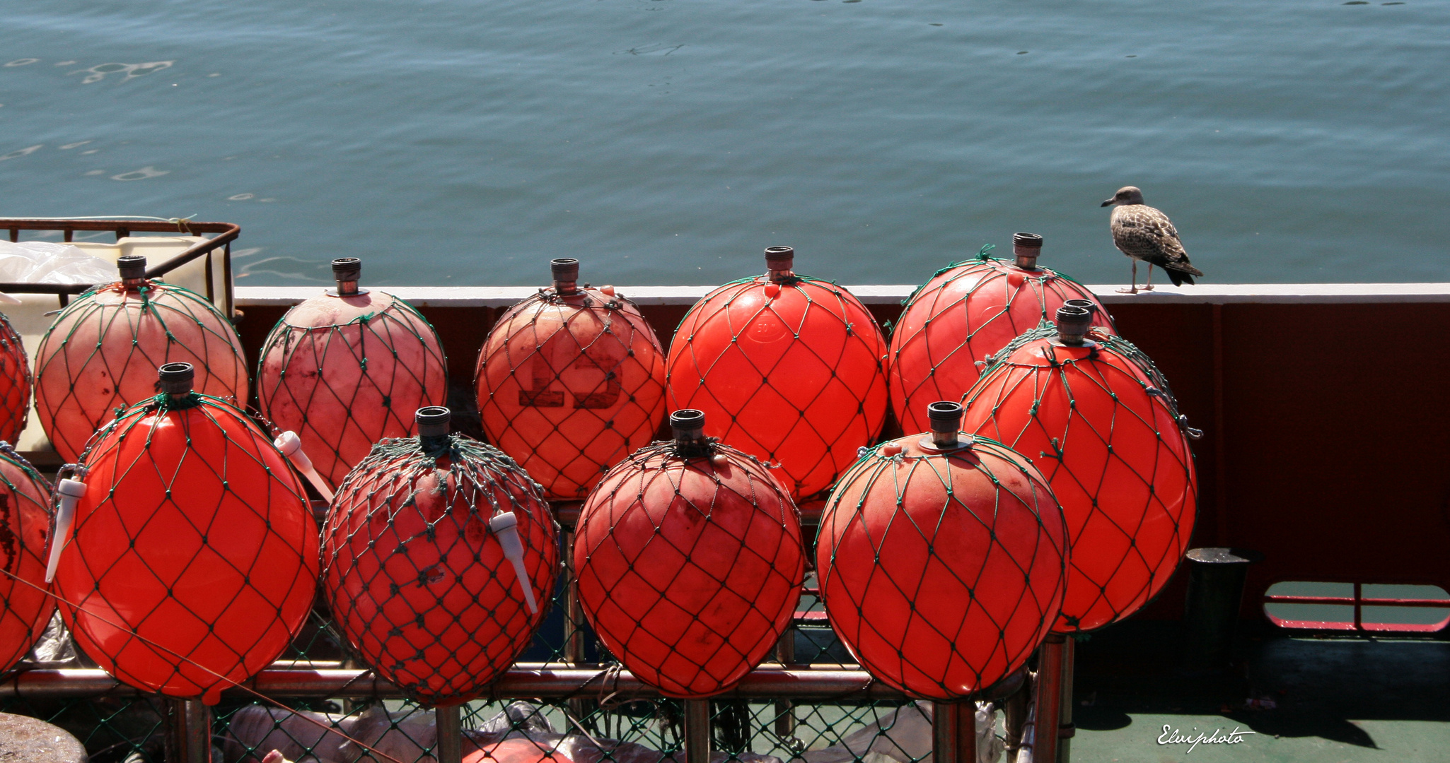 Les bouées rouges 