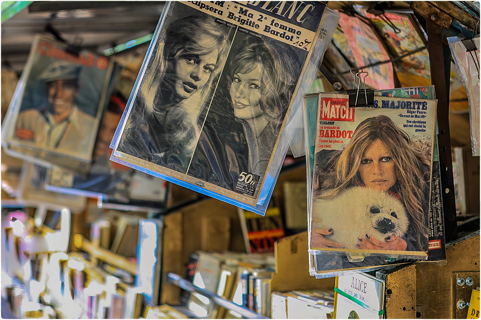 Les bouquinistes de Paris