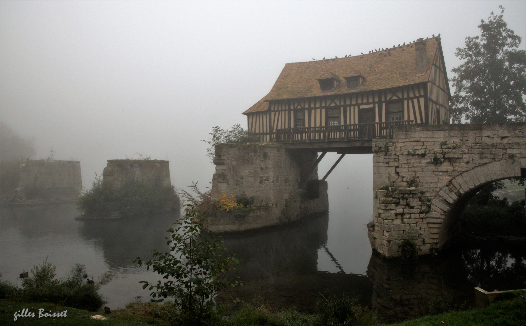 les brumes de mon moulin