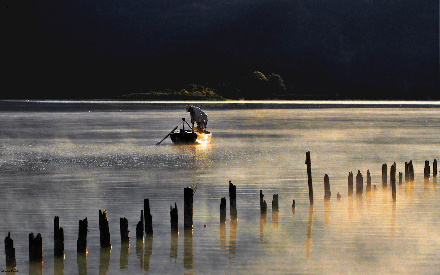 Les brumes du lac