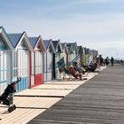 les cabanes a cayeux/mer (80)