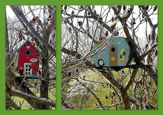 les cabanes a oiseaux