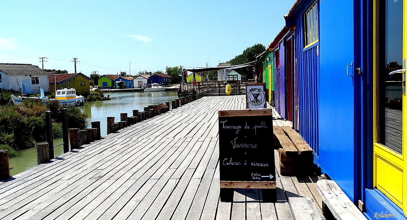 Les cabanes bleues (suite)