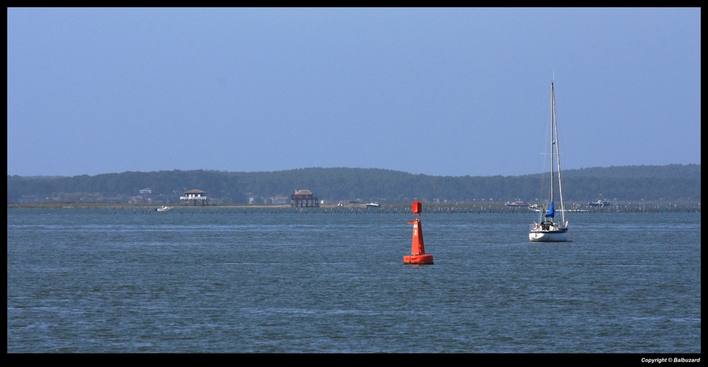 " Les cabanes de lîle aux oiseaux au milieu du bassin d'Arcachon "